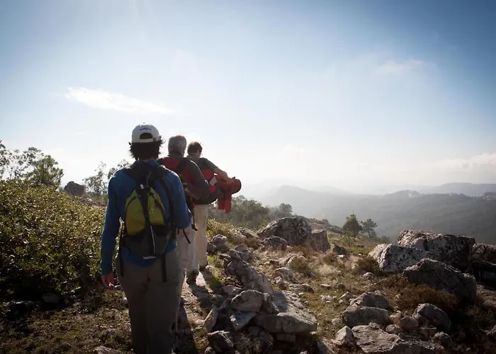 Rota Malhoa ホテル フィゲイロー・ドス・ヴィーニョス